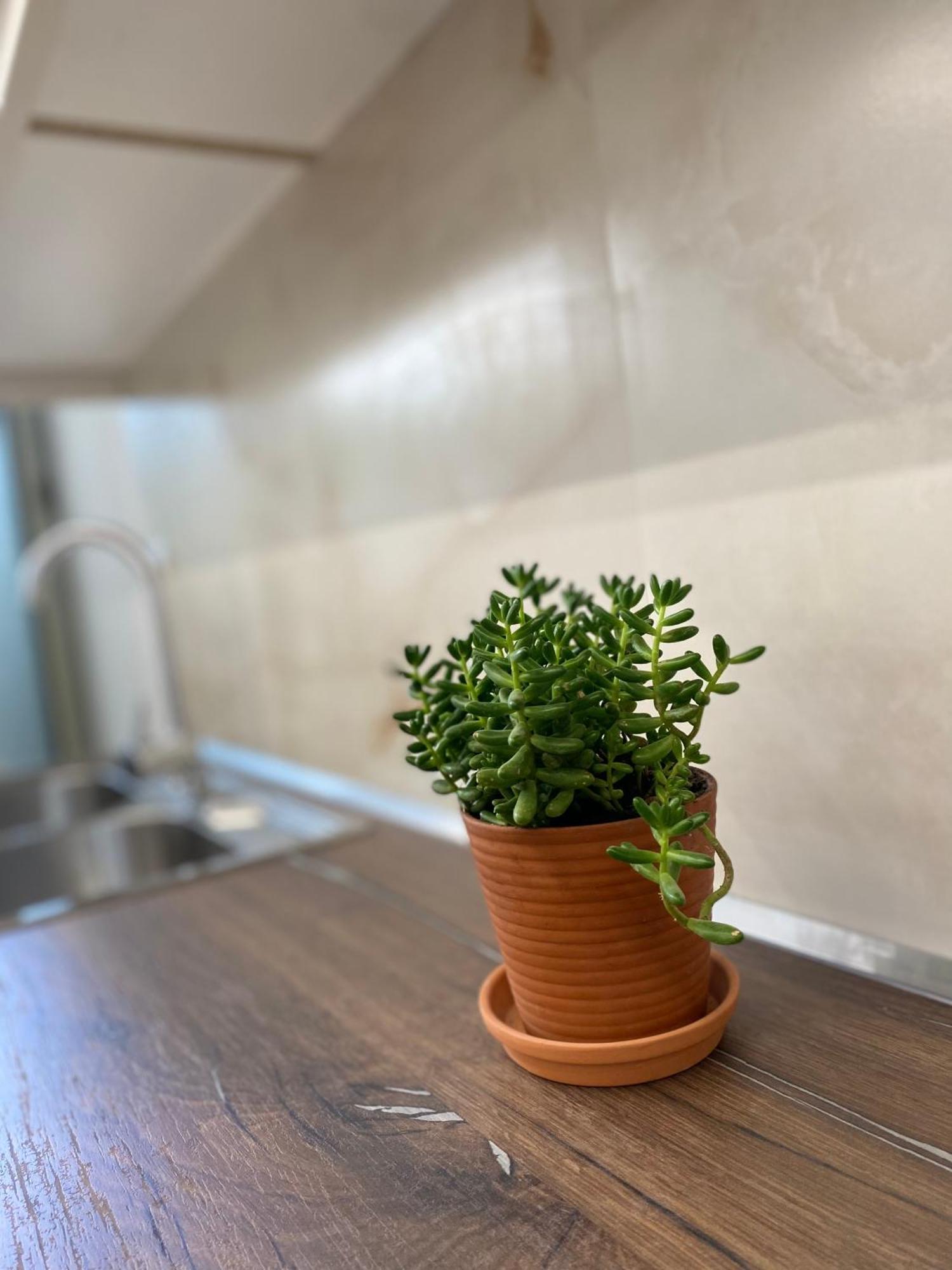 Flors Apartamento Durrës